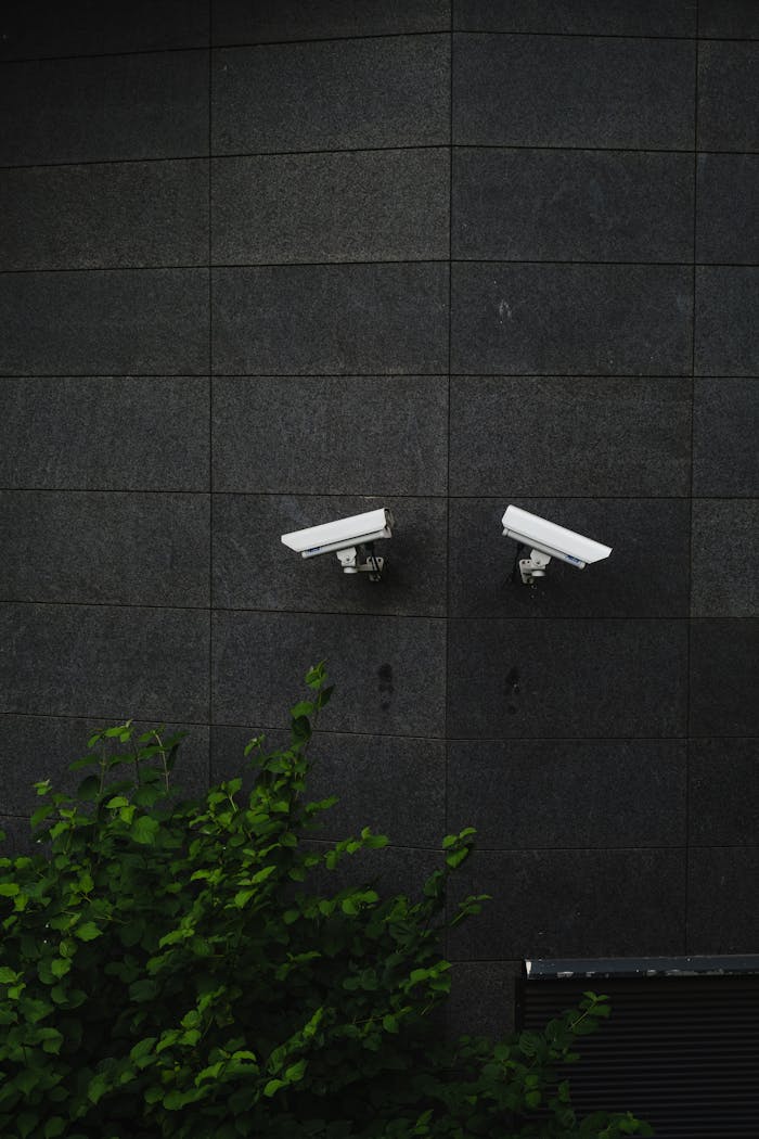 Two security cameras mounted on a dark tiled wall, symbolizing protection and surveillance.